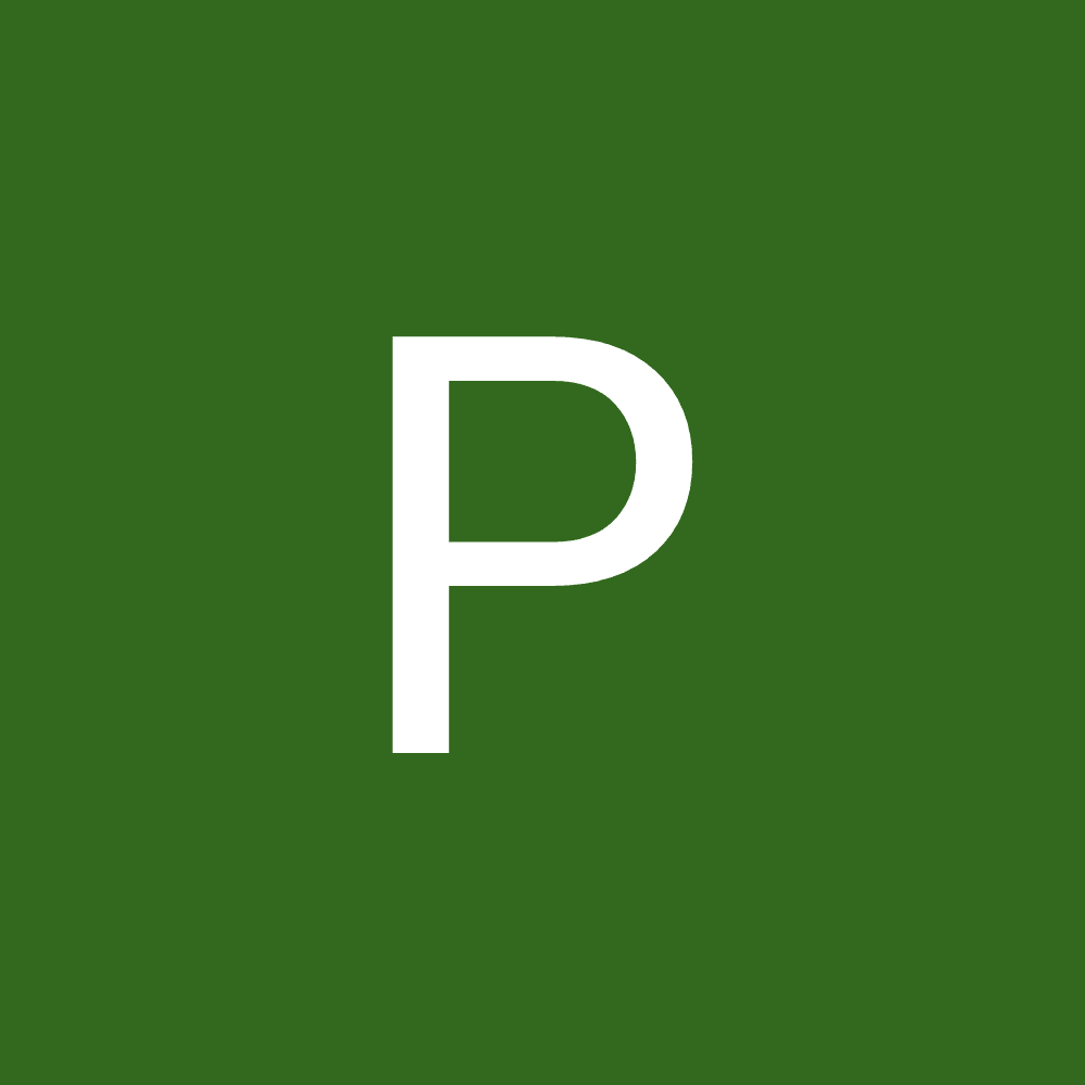 Panzer P