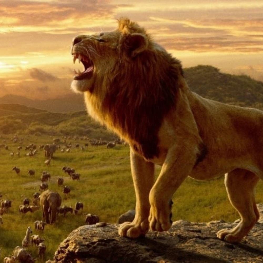 Lion Lion