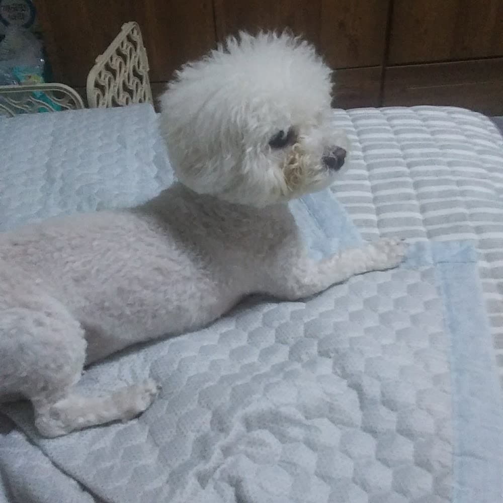 정현 박