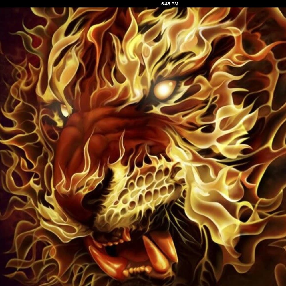The Raging Tiger Games